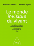 vignette